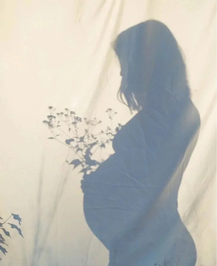 Silhouette of a pregnant person in profile, cradling their belly and holding wildflowers against draped fabric